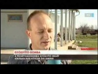 /album/rolunk-irtak-nalunk-jartak-/hirado-2011-04-05-jpg/